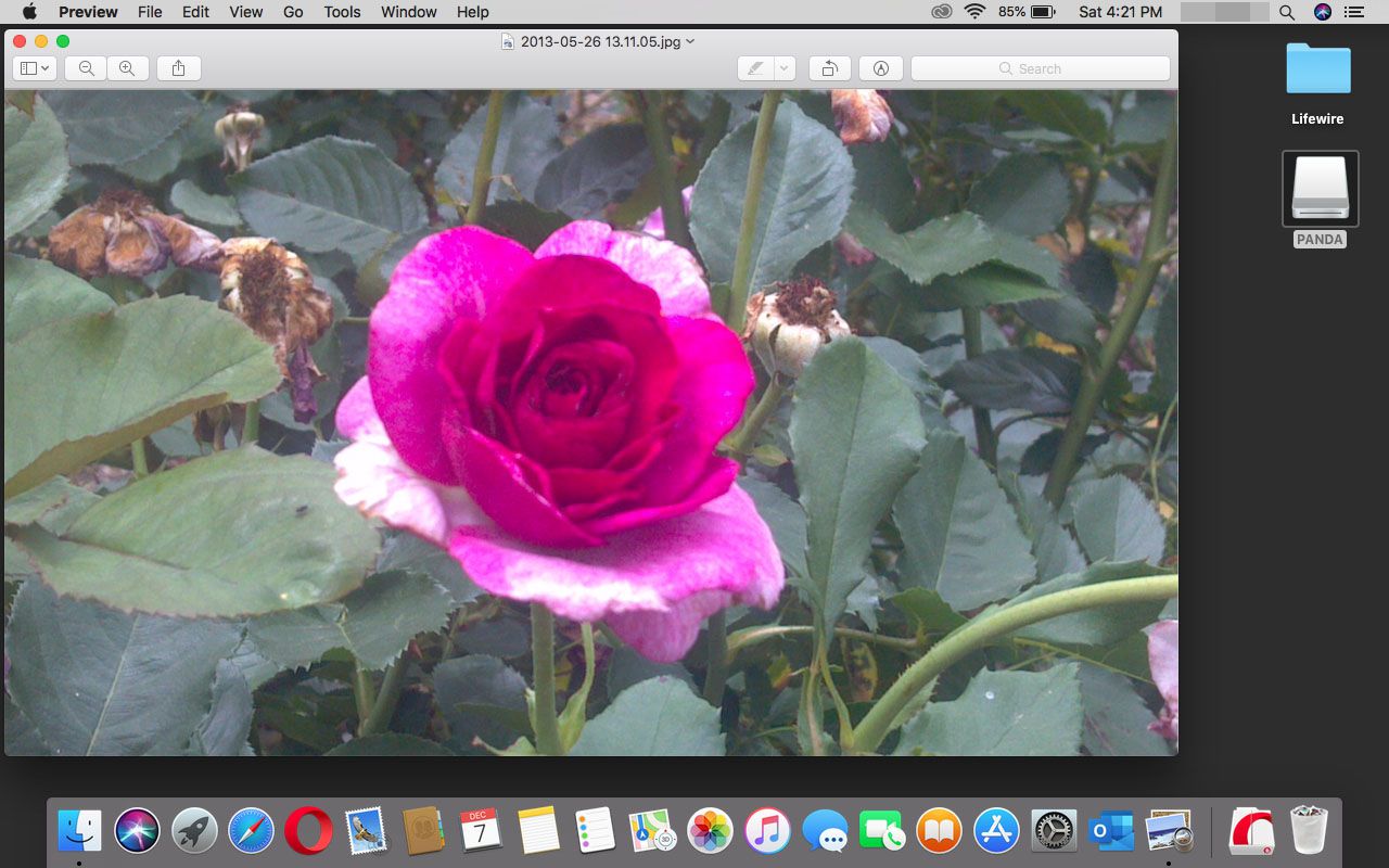 flowers for preview mac os phto editing